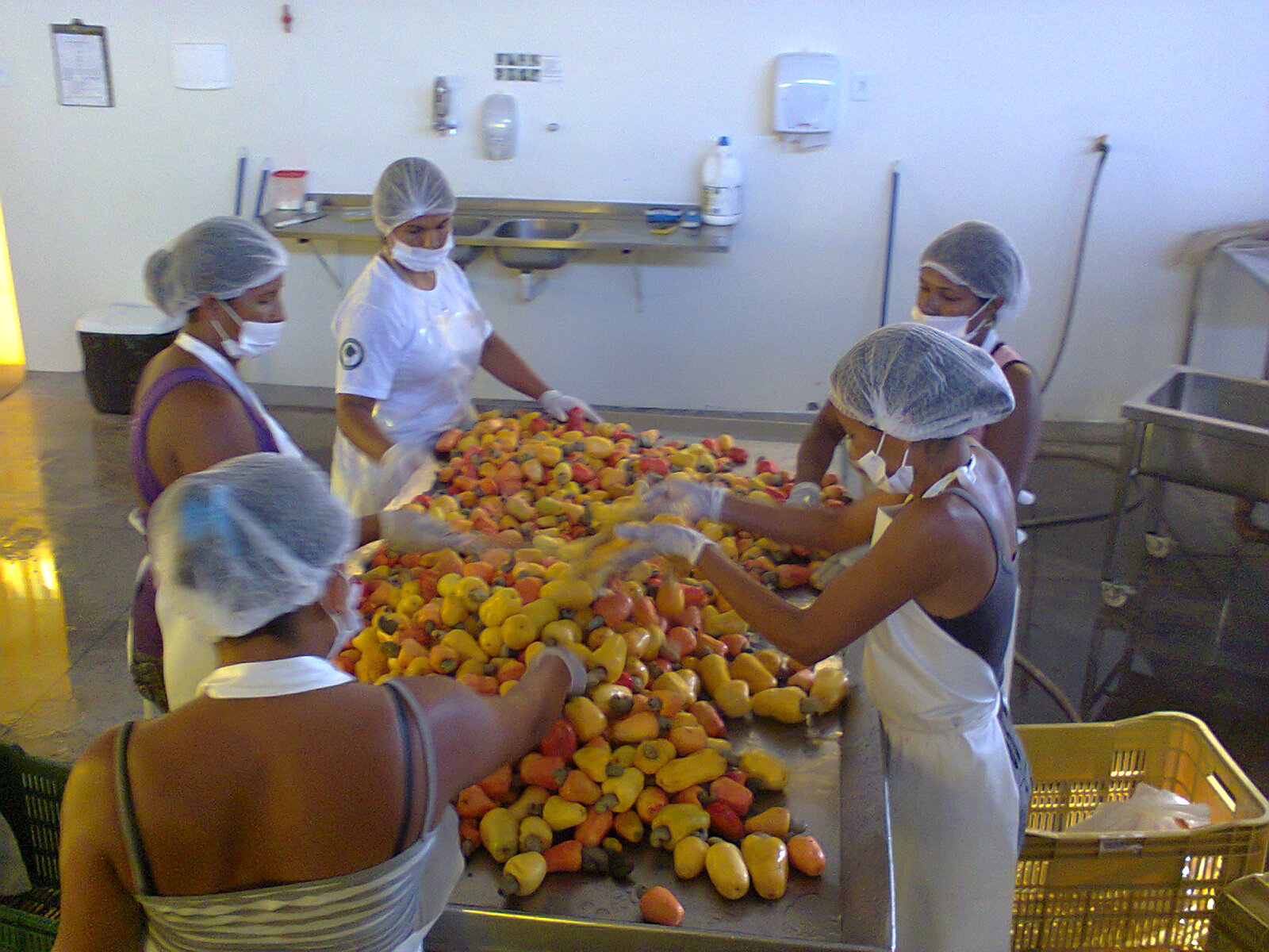 Featured image for “ISE Estreito – BNDES/Ceste”