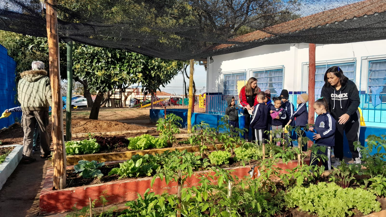 Featured image for “Jardins Agroecológicos na CEI Haydee Maria Pupo Novaes”